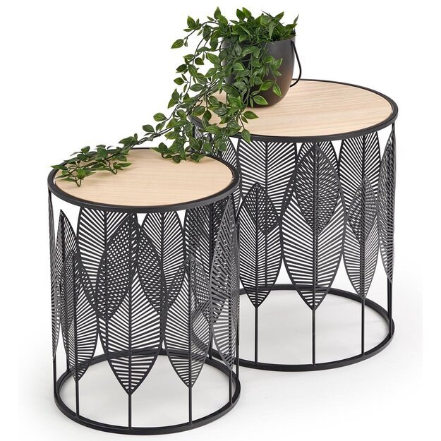 BOTANEO | staliukas