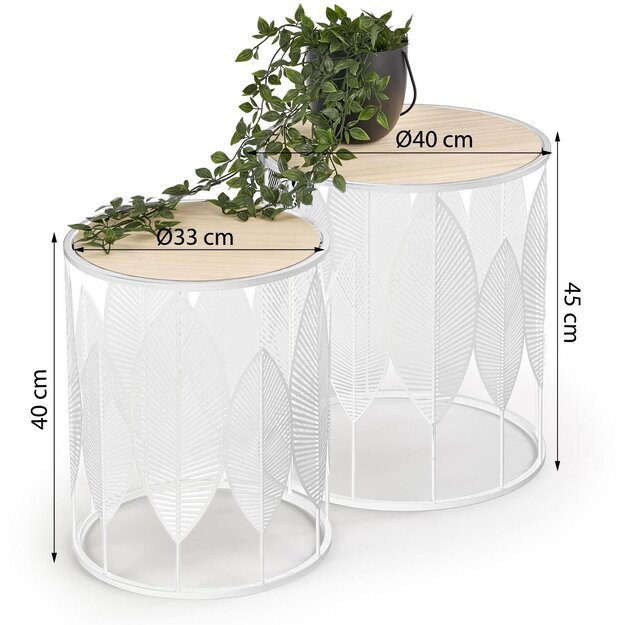 BOTANEO | staliukas