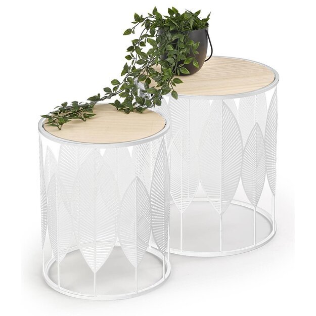 BOTANEO | staliukas